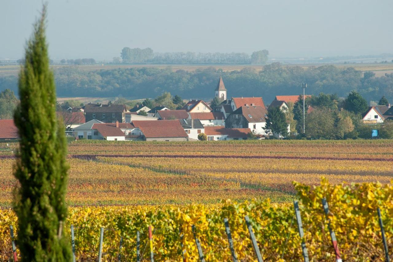 Gaestehaus & Weingut Peth Florsheim-Dalsheim Exterior foto